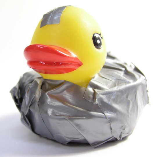 ISC BIND has no logo, so here is a fixed Duck I've stolen from their internets